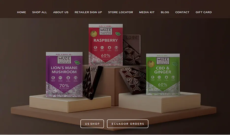 Muze Previous design (1)