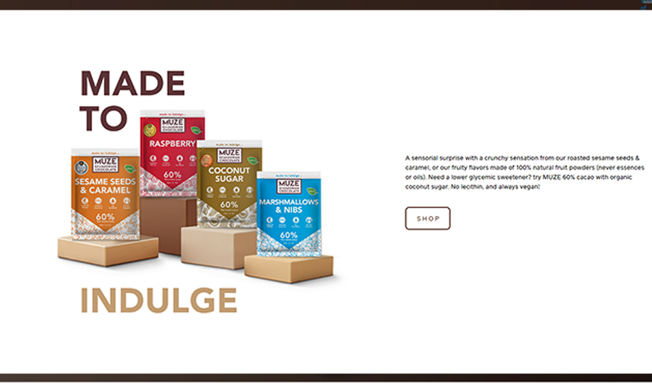 Muze Previous design (2)